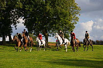 The field of riders ride across the rolling open landscapes at the opening meet of the Quorn Hunt, in Leicestershire, England, UK.  October 2009