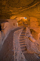 Gila Cliff Dwellings National Monument, southwestern New Mexico, USA. Long-abandoned homes of the Mogollon people. 2009.