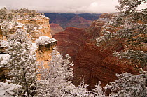 South rim of the Grand Canyon National Park in winter, Arizona, USA. February 2009.