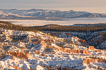 Winter in Bryce Canyon National Park, southern Utah, USA. February 2009.