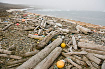 Buoys, litter and drift wood washed up onto beach along the coast of Svalbard, the wood being washed up from Russia, Svlabard, Norway, August 2009