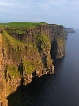 Cliffs of Moher, limestone cliffs, County Clare, Republic of Ireland, June 2009