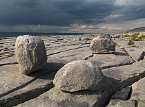 Karst limestone landscape, The Burren, County Clare, Republic of Ireland, June 2009