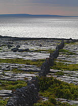 Karst limestone landscape, Ailladie coast, The Burren, County Clare, Republic of Ireland, June 2009