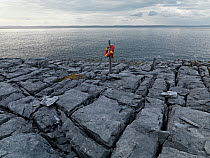 Life ring on the coast, Black Head, The Burren, County Clare, Republic of Ireland, June 2009