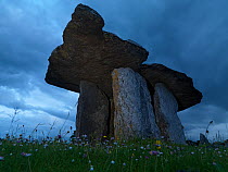 Poulnabrone Dolmen, a stoneage portal tomb, The Burren, County Clare, Republic of Ireland, June 2009