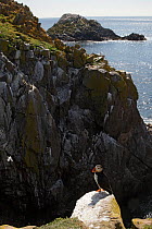 Puffin (Fratercula arctica) standing on rock on cliff, Saltee Islands, County Wexford, Republic of Ireland, June 2009