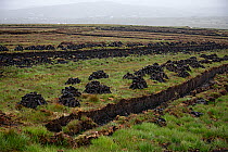 Peat bog with blocks dug out, Bloody Foreland, County Donegal, Republic of Ireland, June 2009