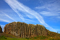 Giant's Causeway, basalt landscape, Unesco Heritage Site, Northern Ireland, June 2009