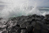 Wave crashing onto basalt rocks, Giant's Causeway, Unesco Heritage Site, Northern Ireland, June 2009