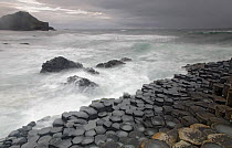 Coastal basalt rock landscape, Giant's Causeway, Unesco Heritage Site, Northern Ireland, June 2009