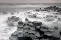 Coastal basalt landscape, Giant's Causeway, Unesco Heritage Site, Northern Ireland, June 2009