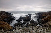 Coastal basalt landscape, Giant's Causeway, Unesco Heritage Site, County Antrim, Northern Ireland, June 2009