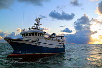 Fishing vessel "Harvester" trawling on the North Sea at dusk, January 2010.