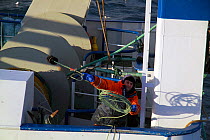 Crewman throwing heaving line across to partner vessel during pair trawl operations, North Sea, January 2010.