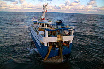 "Harvester" taking a good catch of Haddock onboard. North Sea, January 2010.