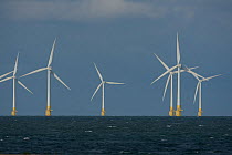 Offshore windfarm, Norfolk, England, September 2008