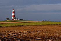 Happisburgh lighthouse, Norfolk, England, October 2005