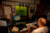 Biologist counting fish swimming past window as they migrate through the ladder at Bonneville Dam, Bonneville Dam's Oregon Shore Counting Station, Columbia River Gorge National Scenic Area, Oregon, US...