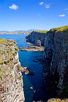 Seabird breeding cliffs, northern end of Handa Island, off the north west coast of Scotland, June.