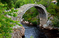 Old Pack Horse Bridge across river, Carrbridge, Scotland, June 2009
