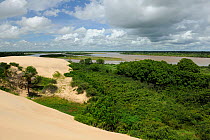 Sand dunes of Morro Branco, island Ilha Grande de Santa Isabel, delta of Parnaaba River, Delta do Parnaaba Extractivist Reserve, municipality of Parnaaba, Piaua State, Northeastern Brazil. March 20...
