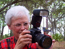 Northern parula (Parula americana) perched on the hand of a woman holding a camera, North Florida, USA, model released