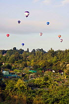 Bristol Balloon Fiesta over allotments, Bristol, UK. August 2009.
