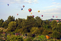 Bristol Balloon Fiesta over allotments, UK, August 2009.