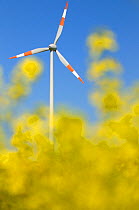 Wind turbine with oil seed rape flowers in the foreground, Sarre, Germany