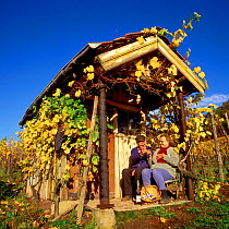 Couple celebrating the vintage at their vineyard, Moselle, Luxembourg
