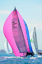 Melges 32 fleet with "Team Barbarians" (GBR), Miami Grand Prix, Florida, USA. March 2010.
