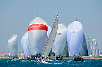Farr 40 fleet downwind, Miami Grand Prix, Florida, USA. March 2010.