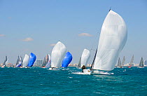 Melges 32 heading fast downwind, Miami Grand Prix, Florida, USA. March 2010. Bow number 60, "Teasing Machine" (FRA), was the overall winner.