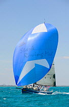 J125 "Stark Raving Mad" under spinnaker during the Miami Grand Prix, Florida, USA. March 2010.