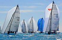 Melges 32 fleet racing downwind, Miami Grand Prix, Florida, USA. March 2010.