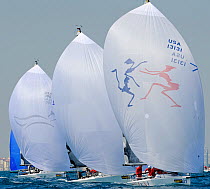 Melges 32 fleet lead by "Samba Pa Ti", Miami Grand Prix, Florida, USA. March 2010.