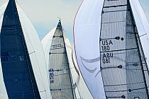 Sails of Melges 32 yachts "Bliksem", "Calvi Network" and "Volpe". Miami Grand Prix, Florida, USA. March 2010.