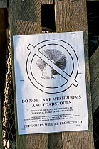 Sign  warning against that the picking of mushrooms or toadstools is forbidden, Richmond Park, London, UK