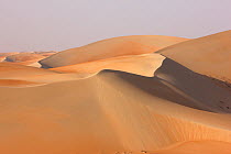 Empty Quarter, sand desert near Liwa, Abu Dhabi Emirate, UAE, November 2008