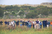 Crowd of people bird-watching, Cape May, New Jersey, USA