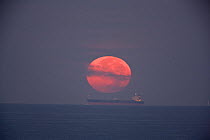 Full moon, looking red,  setting into the sea over a tanker on Delaware bay, New Jersey, Cape May, USA