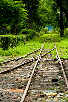 Disused railway in Yangun (formerly Rangun), Myanmar / Burma, August 2009
