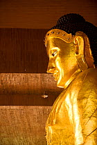 Close up of a Buddhist statue, Bago, Northeast Yangun, (before Rangun), Myanmar, (formerly Burma)  August 2009