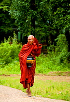 Buddhist monk collecting money and food, Bago, Myanmar, (formerly Burma).  August 2009