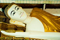 Shwethalyaung Buddha, one of the biggest reclining  Buddas. Bago, Myanmar /  Burma  August 2009