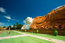 Reclining  Buddha in Bago, Myanmar / Burma.  August 2009