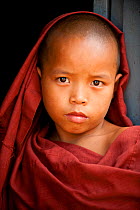 Portrait of a young monk in robes, Bago, Myanmar / Burma  August 2009