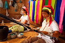 Padaung women (Giraffe Neck women) wearing neck rings, weaving,  Inle Lake, Shan State, Myanmar,  Burma. August 2009