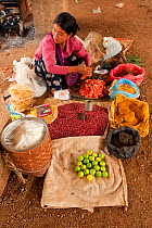 Woman with market stall, within Indein Village, Inle Lake, Shan State, Myanmar, Burma. August 2009